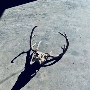 Meet your Posher, Nathan